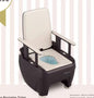 Portable Toilet For Seniors